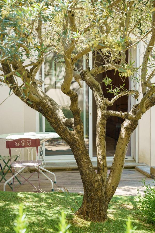 La Terrasse De L'Olivier Beaumes-de-Venise Dış mekan fotoğraf